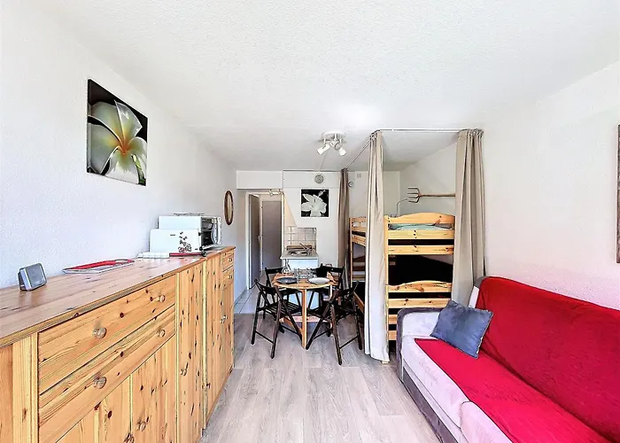Appartement Lumineux Skis Aux Pieds, Animaux Admis, Wifi Gratuit - Fr-1-267-296 *